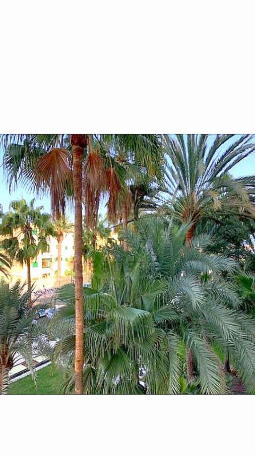 Maspalomas Del Mar San Bartolomé 외부 사진